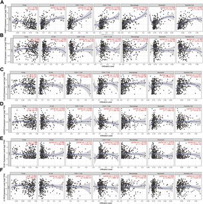 Key genes associated with non-alcoholic fatty liver disease and hepatocellular carcinoma with metabolic risk factors